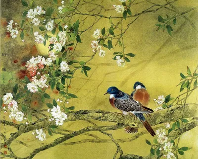 Птицы весной - красивые фото