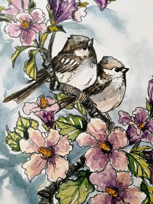 Весна, птицы в парке г.Чайковский | FlyChaik | Дзен
