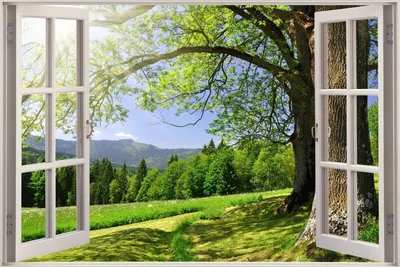 Картинки вид из окна на природу обои