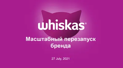 Британские котята вискас, окрас, шотландские вислоухие котята из рекламы  вискас, цена | Кошки - кто они?