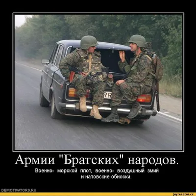 армейские приколы / смешные картинки и другие приколы: комиксы, гиф  анимация, видео, лучший интеллектуальный юмор.