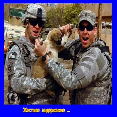 Украинцы создают мемы о войне