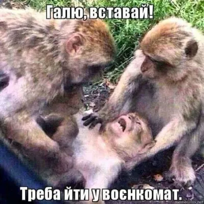 Веселые Дети Встречи Военного Папы И Работает С Инвалидом — стоковые  фотографии и другие картинки Ветеран - iStock