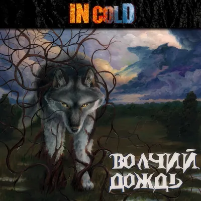 Волчий дождь - Album by In cold - Apple Music