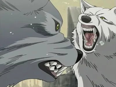 Wolf's Rain / Аниме