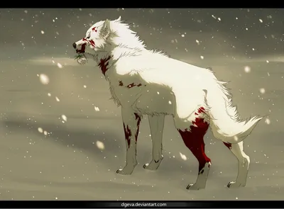 Wolf's Rain / Аниме