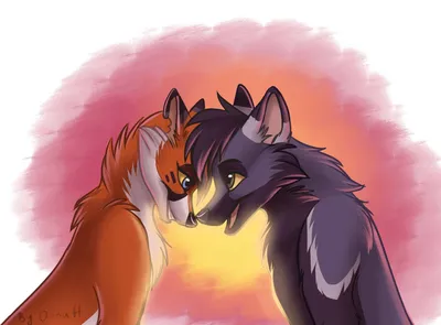Картинки волк и лиса любовь обои
