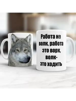 Волк с надписью на латыни. Человек человеку волк. Изолированные на белом  фоне. Иллюстрация вектора - иллюстрации насчитывающей злобный, волк:  179382954