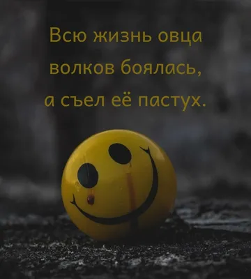 Рюкзак с принтом волка для подростков 5-11 класс для мальчиков SH121-2 в  интернет-магазине Е-Леди