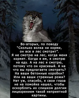 Не бесите волков. | Пикабу