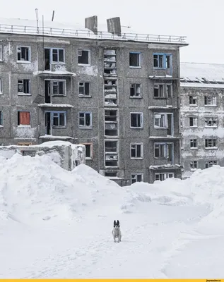 Воркута: случилось страшное. После аварии 24 декабря вся городская  канализация без очистки прямиком течет в реку | Газета «Трибуна»