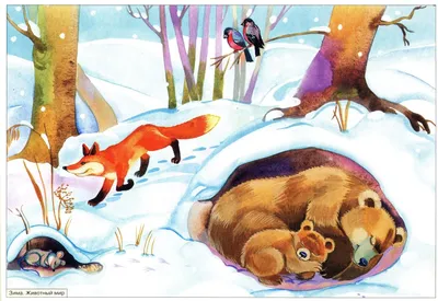 времена года зима для детей - Google Търсене | Иллюстрации и плакаты,  Рисунки, Детские рисунки