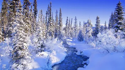 Картинка Зима Природа Времена года