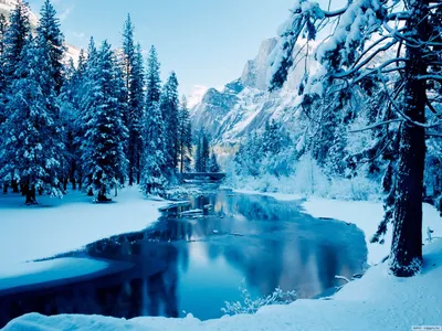 Фотография речка зимой зимние Природа Времена года