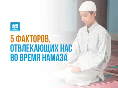 Уроки 3 – 4: Время намазов | Muslimlife.Kz | Дзен