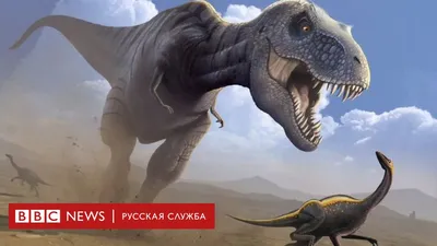 Шесть мифов о динозаврах, которые до сих пор вводят нас в заблуждение - BBC  News Русская служба