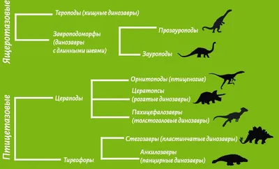 https://klev.club/kartinki/semiya/3962-kartinki-semja-dinozavrov-47-foto.html