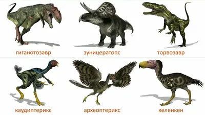 Ученые выяснили, насколько был развит мозг у динозавров – Москва 24,  25.01.2023