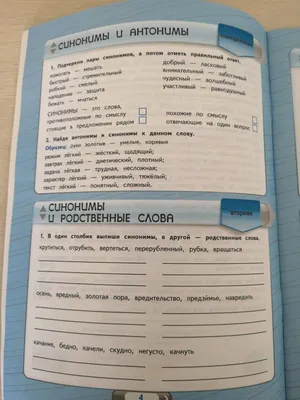 Итоги международной благотворительной акции «Щедрый вторник» подвели в ТОГУ  / Новости и события ТОГУ