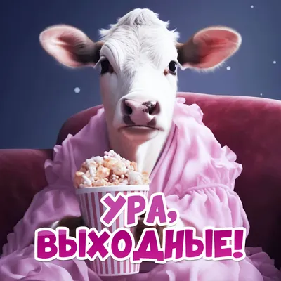 Ура-ура-ура, наконец-то пятница! 🥳🤞🏻Впереди выходные, а это почти как  лето - как маленькая жизнь) 😊 | Instagram