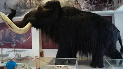 Воскрешение вымерших животных» — создано в Шедевруме