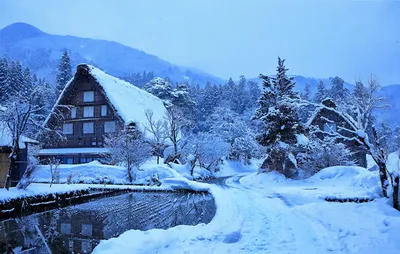 Красивые зимние пейзажи с птицами высокого разрешения (54 фото) - красивые  фото и картинки pofoto.club