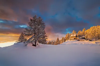 Красивые зимние пейзажи с птицами высокого разрешения (54 фото) - красивые  фото и картинки pofoto.club