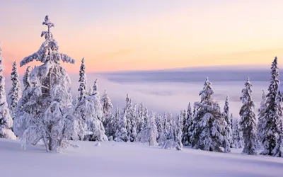 Утепленные зимние перчатки, мотоциклетные велосипедные лыжные перчатки,  зимние перчатки высокого качества – лучшие товары в онлайн-магазине Джум Гик