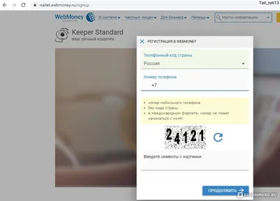 Электронный кошелек Webmoney - «Создаём wme и остаёмся на аттестате  псевдонима. Возможности кошелька, первый вывод денег. Некоторые проблемы.»  | отзывы