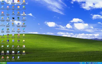 НОУ ИНТУИТ | Основы современных операционных систем. Лекция 1: Практическое  изучение системы Windows XP