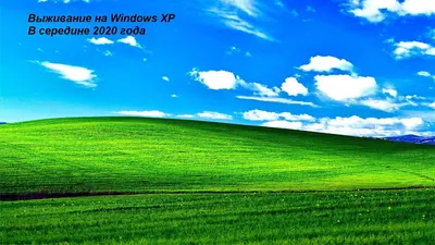 Скачать обои Windows XP, Windows, XP, Безмятежность в разрешении 1080x1920  на рабочий стол