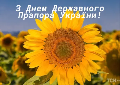 З Днем Державного Прапора України 2023: привітання в прозі та віршах,  картинки українською — Укрaїнa