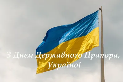 23 серпня – День Державного Прапора України! – Прикарпатський національний  університет імені Василя Стефаника