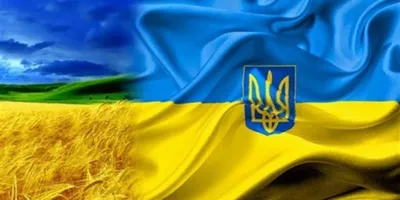 З Днем Державного прапора України! | Бучанська районна державна  адміністрація Київської області