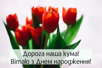 Чудові привітання та поздоровлення з Днем народження кумі. Вітаннячко