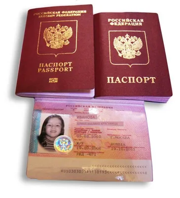 Не все так однозначно: сколько загранпаспортов получают россияне и как это  сказывается на поездках? | Ассоциация Туроператоров