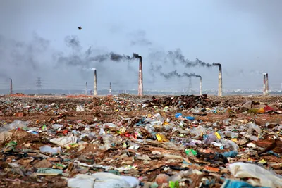 Загрязнение окружающей среды — все статьи и новости - Индикатор