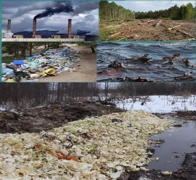 Названы регионы РФ с самой загрязненной питьевой водой | Пикабу