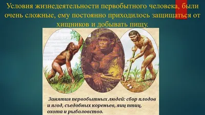 Презентация на тему: \"Жизнь древних людей.. 1.Появление человека. Более 2  млн лет на ю-в Африки уже жили древние люди.\". Скачать бесплатно и без  регистрации.