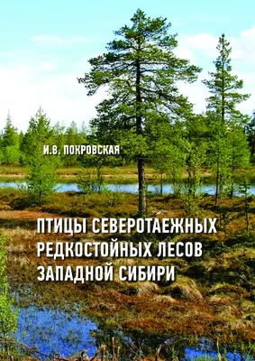 Шервудский лес Западной Сибири» | Наука в Сибири