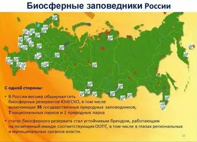 5 Заповедников России. Наследие ЮНЕСКО | ИнфоВолна | Дзен