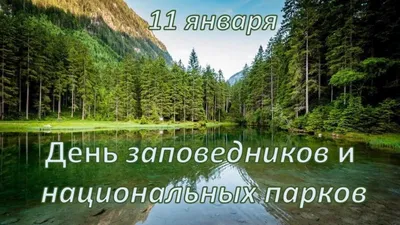 Самые удивительные заповедники России | МУК \"РМЦБ\"