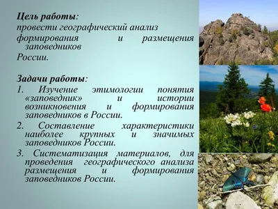 11 января – День заповедников и национальных парков России | Информационное  агентство \"Грозный-Информ\"