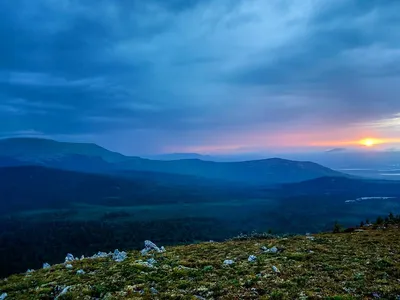 Карта заповедников России Купить.