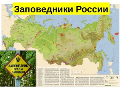 Сколько в России заповедников? – Астраханский биосферный заповедник