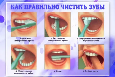 Как правильно ухаживать за зубами? | Профессиональная стоматология ПроДент