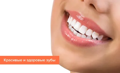 Ортодонтия: здоровые зубы и красивая улыбка - Блог E-stom