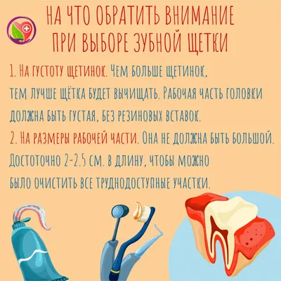 Здоровые зубы – залог здорового организма человека | Irrigator.ru - Блог |  Дзен
