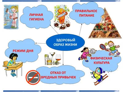 Здоровый образ жизни в детском саду и дома.. ГУО \"Ясли-сад №27 г. Полоцка\"