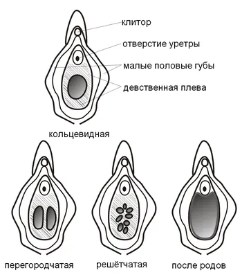 Идите… в Йони!»: одесская художница рисует женские половые органы (фото) |  Новости Одессы